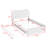 Jankell Wood Upholstered Platform Bed with Trundle-943052848-943052855