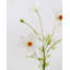 Real Touch Bleu Cosmos 29 po-904251296