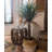 Faux Palm Tree in Pot-2111387654