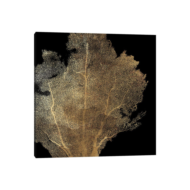 Honeycomb Coral I by Aimee Wilson - Wrapped Canvas Print, 66.04 cm H x 66.04 cm W x 1.91 cm D