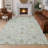 Machine Washable Indoor/Outdoor Chantille ACN2758 Global Rug-1960123243-1960123281