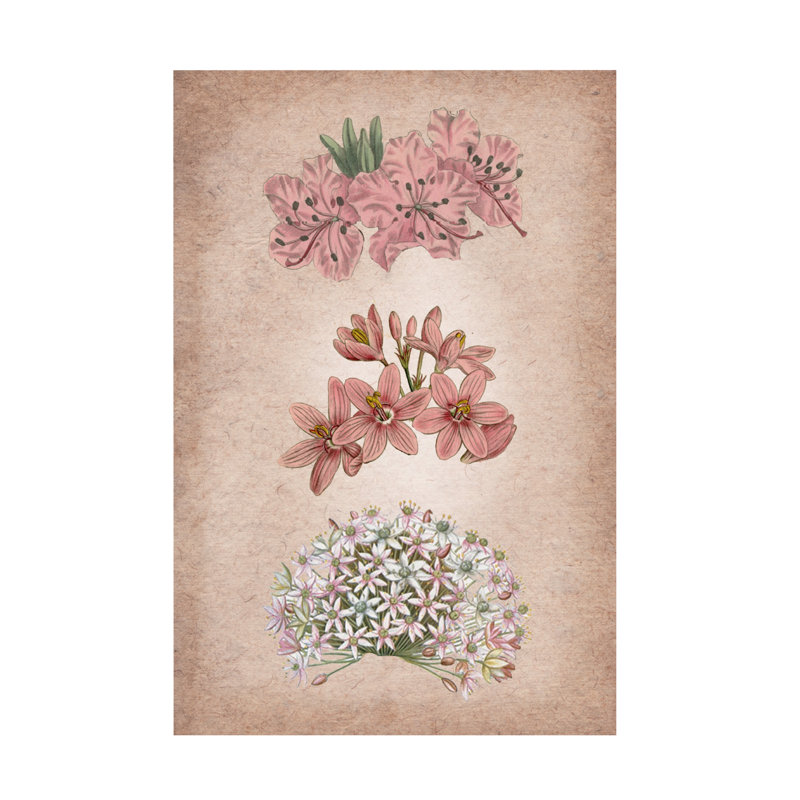 Art sur toile rose, H 22 po x l 32 po