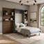 Lit escamotable avec armoire de rangement, étagères ouvertes et port USB, façade de canapé large, panneau imprimé paysage de montagne, lit mural gain de place pour chambre à coucher-1492005177