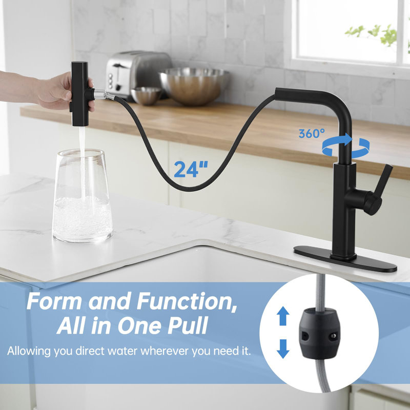 Matte Black Stainless Steel Kitchen Faucet with Pull-Down Spray