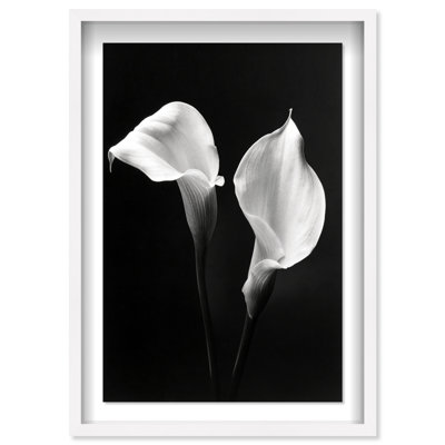 Calla Lily Print by Oliver Gal
