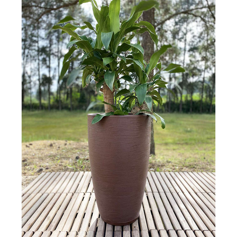 Pot de fleurs en résine Amsterdan, Brown, 25.59" H x 16.14" W x 16.14" D