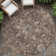Machine Washable Indoor/Outdoor Arline ACN2165 Global Rug