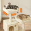 Tour à chat pour chats d'intérieur-1066574701