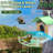 Solar Smart Bird Feeder with Camera-1234040550