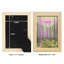 Delicate Forest II - reproduction de cadre photo simple-90582804-90582812