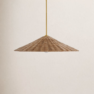 Lilliana 1-Light Dimmable Height Adjustable Pendant