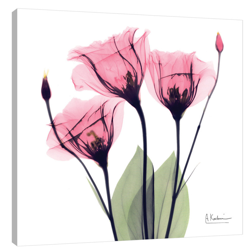 Gentian Faith - Wrapped Canvas Print, 122 cm H x 122 cm W