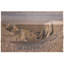 Yosemite National Park Wool Throw