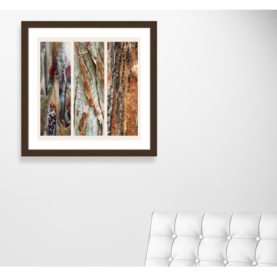 Palm Bark II' Framed Graphic Art Print