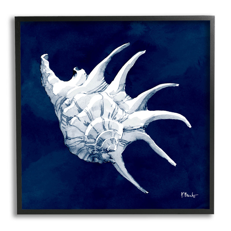 Conque cyanorphe de Paul Brent - impression sur bois, Giclée encadrée noir minuit, H 12 po x l 12 po x P 1,5 po