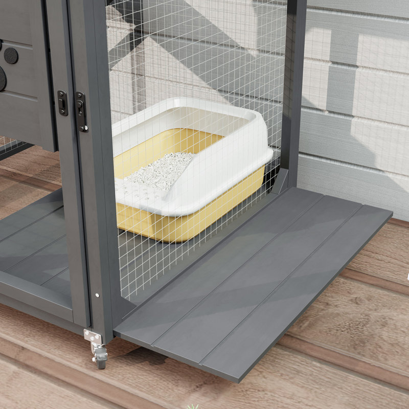 Fenêtre pour chat Catio