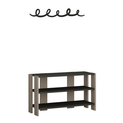 Dairine 2 Piece Hallway Set Stylish Shoe Storage Rack with Metal Hanger