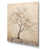Toile tendue