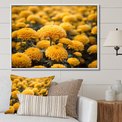 «Yellow Mums in Bloom II» sur toile