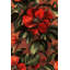 Papier peint rétro à motif floral pelez et collez