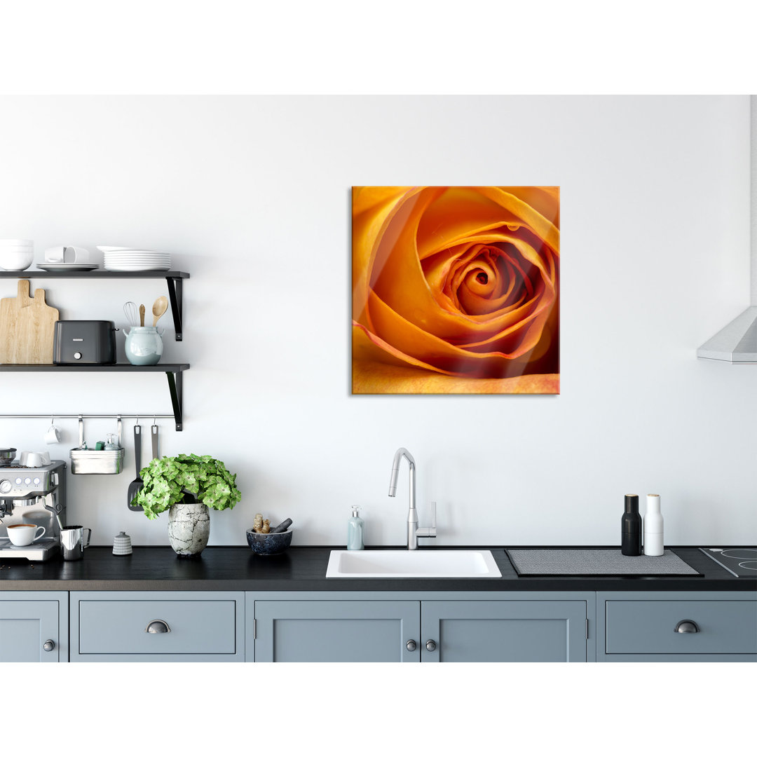 Glasbild Anmutige Gelbe Geschlossene Rose