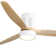 Kemp 52'' 3 -Blade LED Flush Mount Ceiling Fan with Remote Control and Light Kit Included