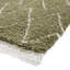 Pechler area rug Machine Woven Green-998175322