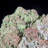 Chareese Landscape & Nature Crystal
