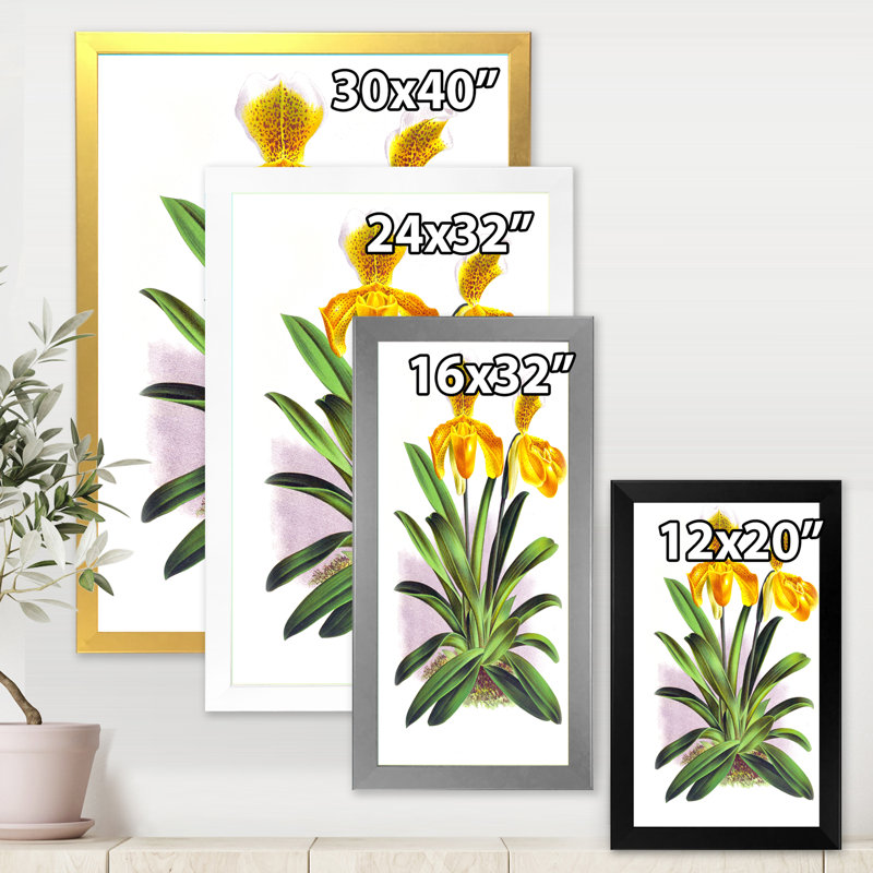 Orchidée jaune rétro - reproduction de cadre photo sur toile, H 20 po x l 12 po x p 1 po, Blanc
