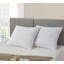 Dorcas Feathers European Pillow