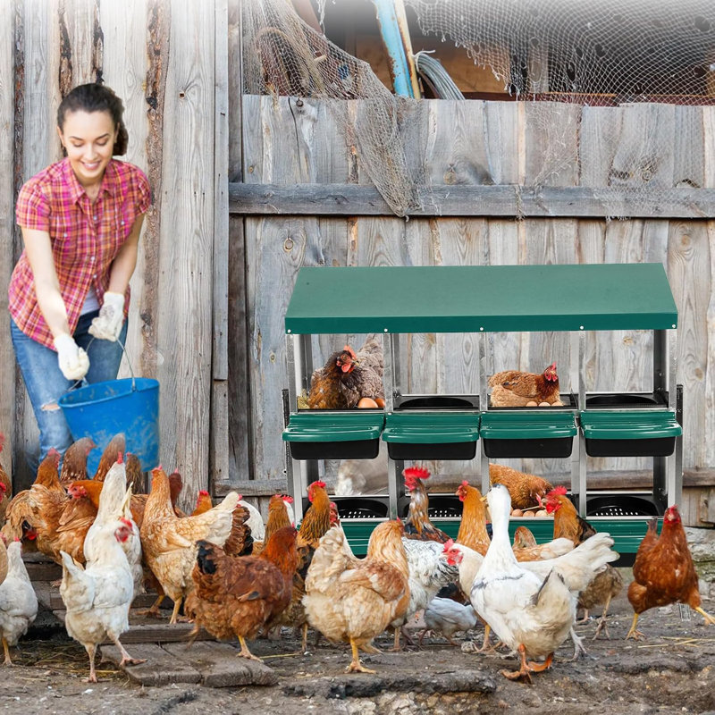 Metal Chicken Nesting Box, 8 Compartment Roll Away Nesting Box With Inclined Nesting Boxes, Bottom Holes & Resting Platform, Fit For Different Chicken Breeds,with Stand,green