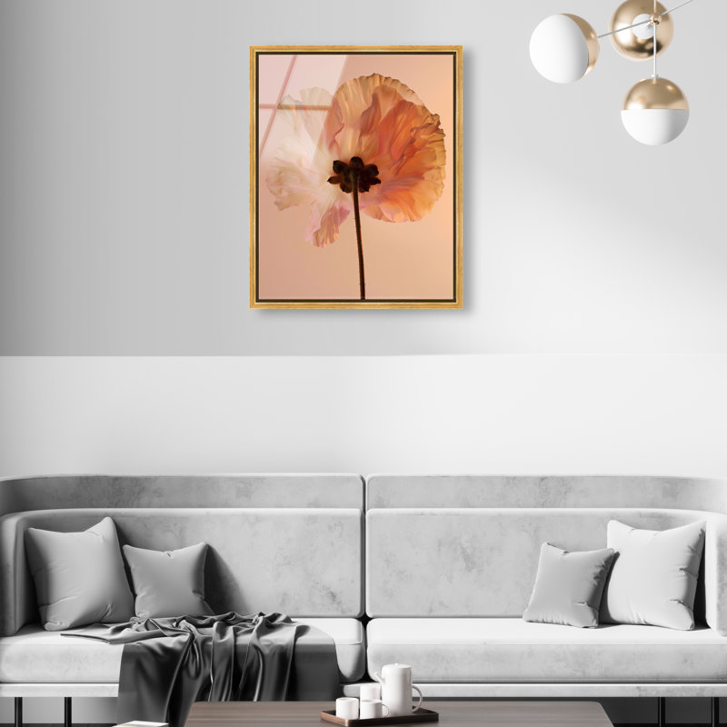 Amber Radiance II Print, 37"H x 31"W, Gold Floater Frame