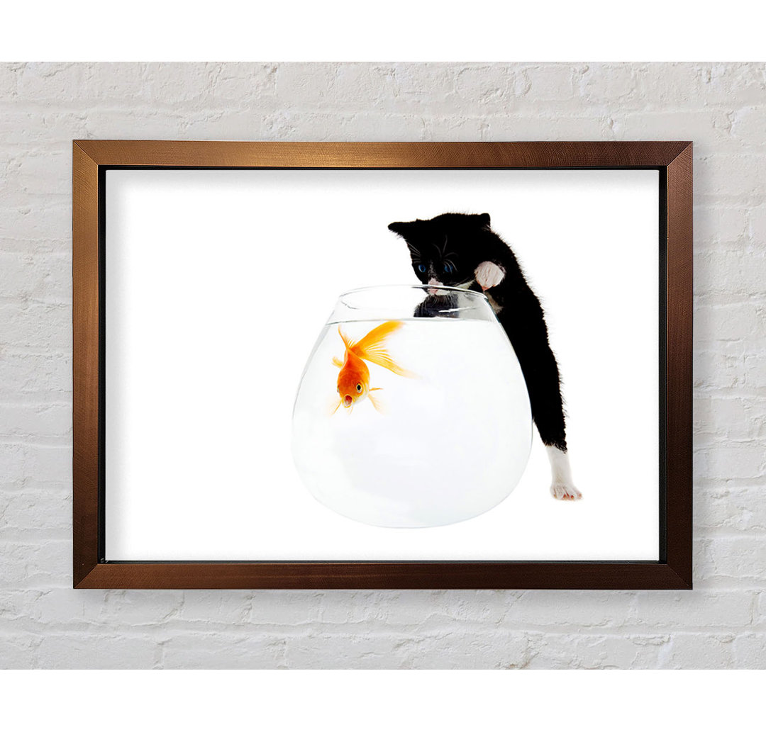 Kitten Fish Bowl Gerahmter Druck