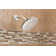 Moen Wide Round Rain Shower Head for Bathroom with 2 GPM High-Pressure Rainfall Spray