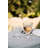 La Rochere 7 oz. Coastal Wine Glass