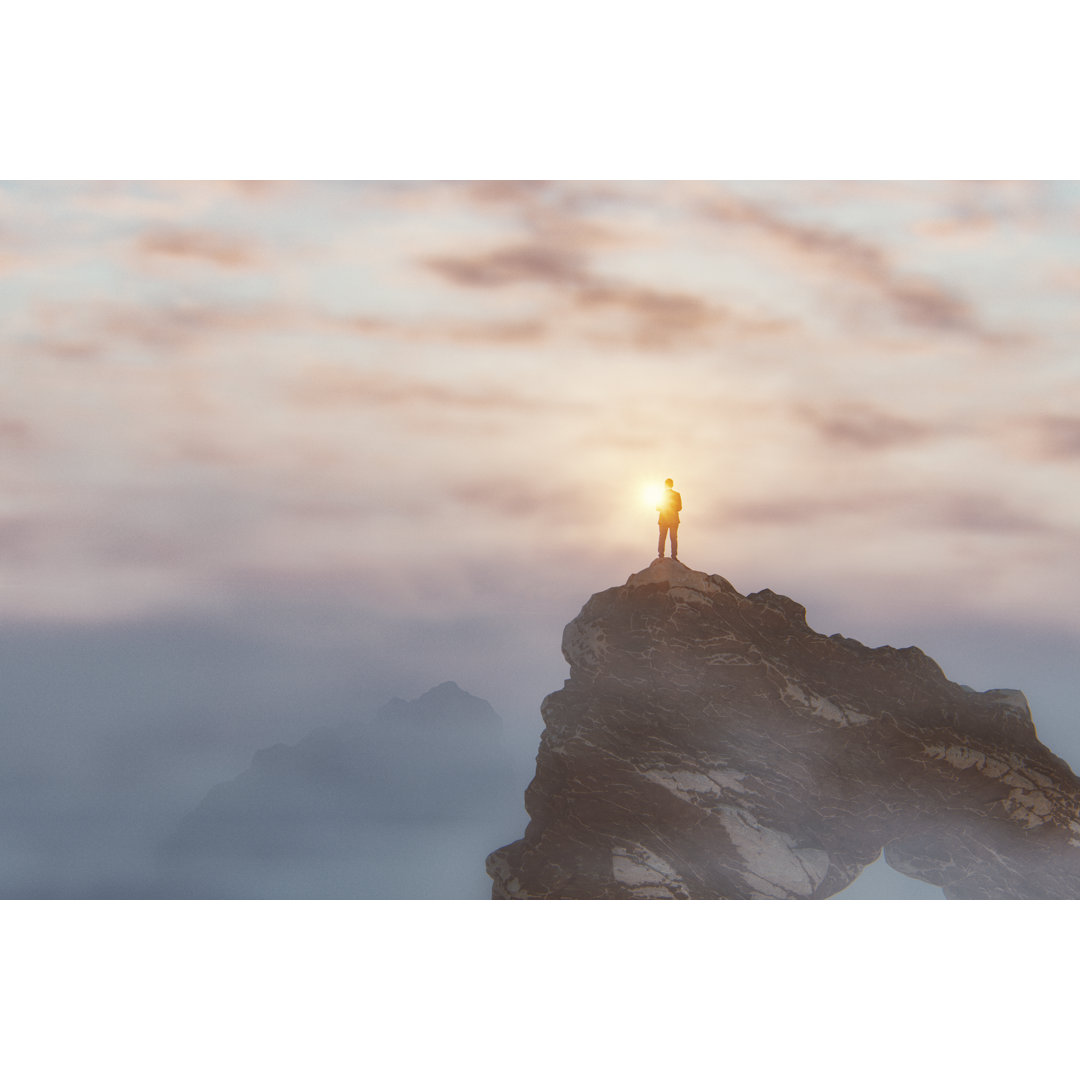 Businessman On Top Of The Mountain von Gremlin - Leinwanddrucke auf Leinwand