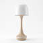 Plastic Standard Table Lamp