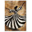 Wrapped Canvas Print-279472522