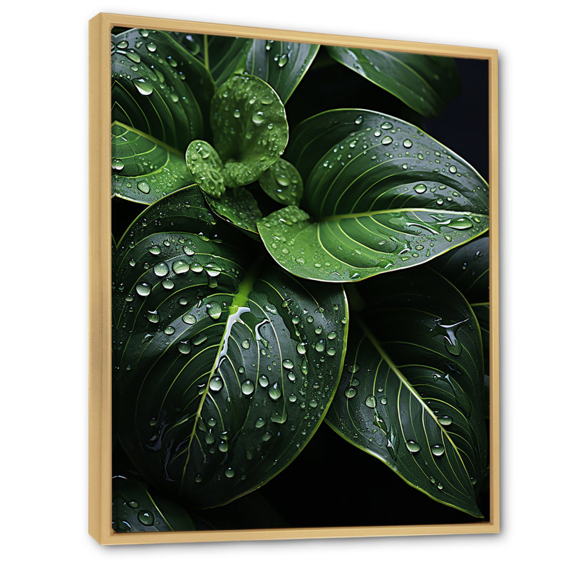 Raindrop Over Green Leafs - Floral & Botanical Canvas Prints, H 32 po x l 24 po x P 1 po, Cadre naturel flottant