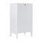 Azlaan Accent Cabinet-74463659