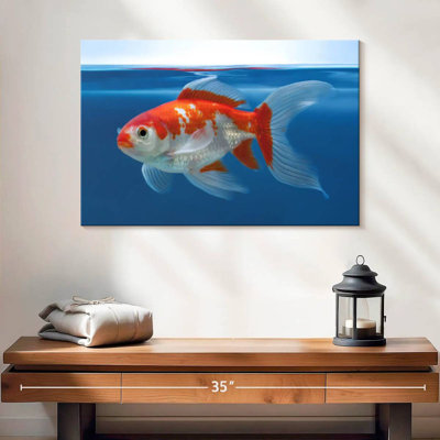Aquarium Brampt Shubunkin poisson rouge