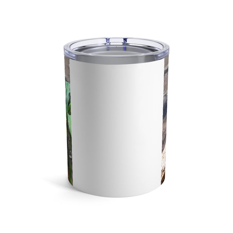 https://assets.wfcdn.com/im/76855399/resize-h755-w755%5Ecompr-r85/2154/215431507/Printify+10oz.+Insulated+Stainless+Steel+Low+Ball+Tumbler.jpg