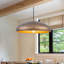 Luminaire suspendu en forme de dôme 1 lumière-1355369396