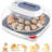 24 Chicken Egg Incubators with 4 Modes, 360° View Incubator with Automatic Egg Turning and Temperature Control Humidity Display, Digital Incubator for Chicken Quail Duck-97893852