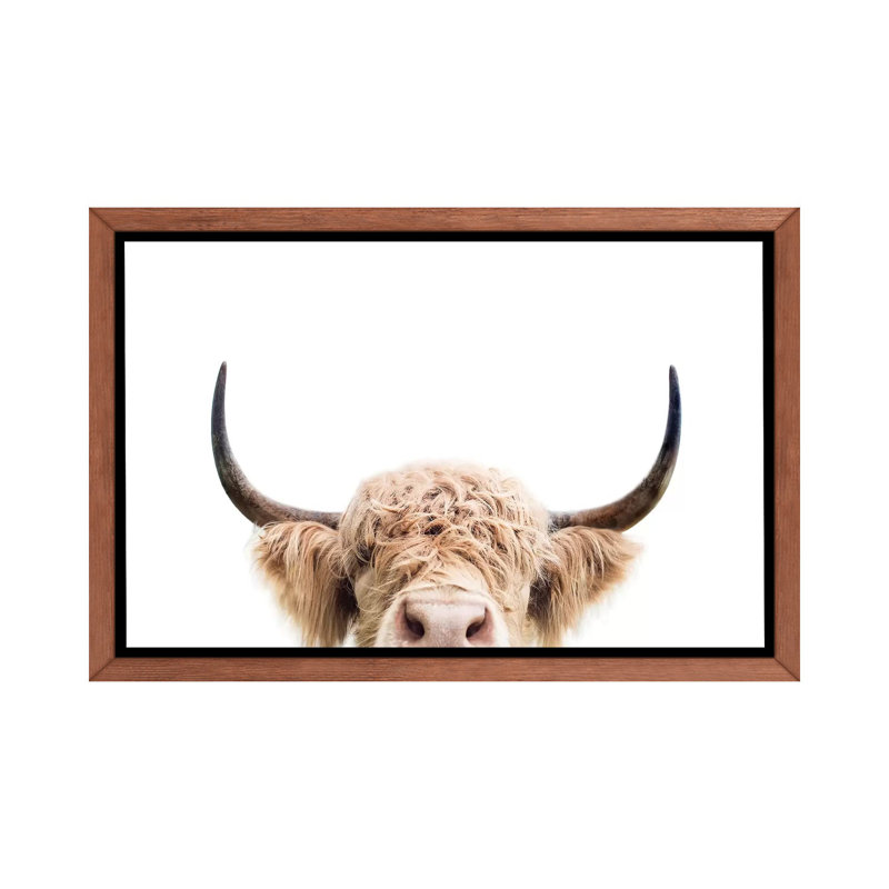«Peeking Cow» par Sissi & Seb - reproduction de photo, H 26 po x l 40 po x 1,5 po, Toile avec cadre en bois classique