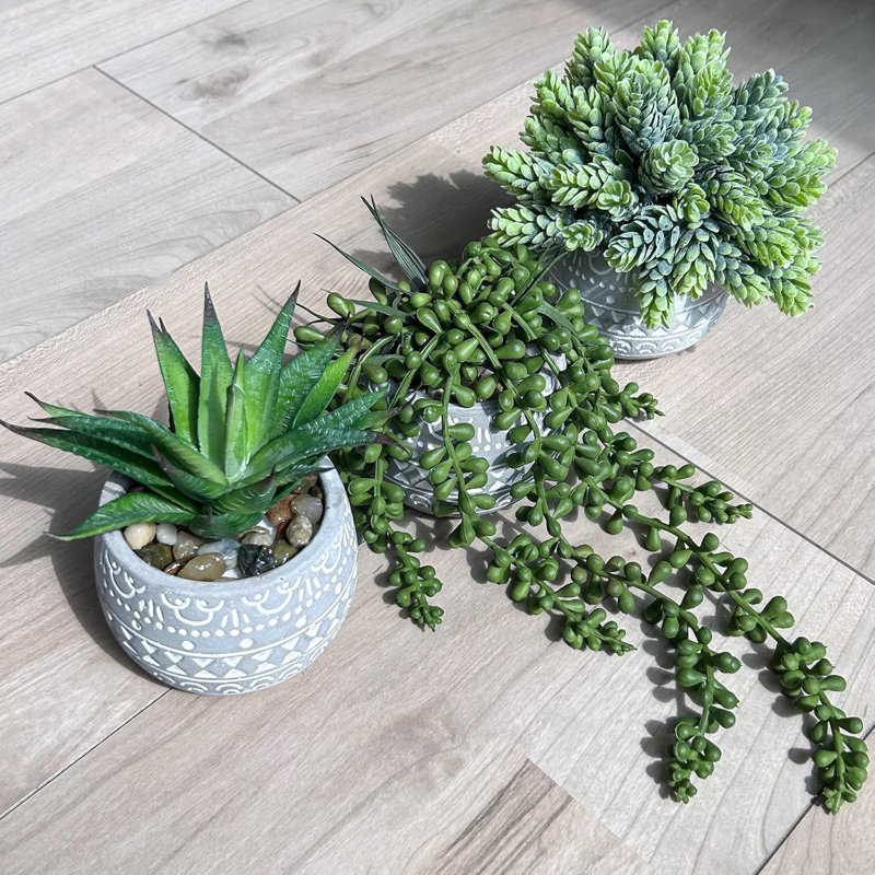 3 Pcs Assorted Small Potted Succulent Plants Artificial Aloe Hops String Of Pearls Succulents In Gray Geometric Concrete Pots