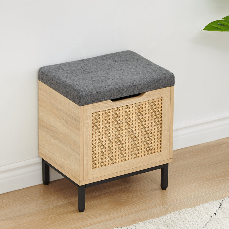 Amdan Shoe Storage Box