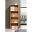 Bibliothèque standard Bessan-1794036555-1774259241