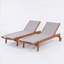 2 chaises longues extérieures