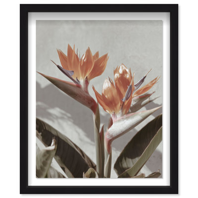 Coral Flower Shadowbox Floral & Botanical Print by Oliver Gal, Black Frame, 16 x 20